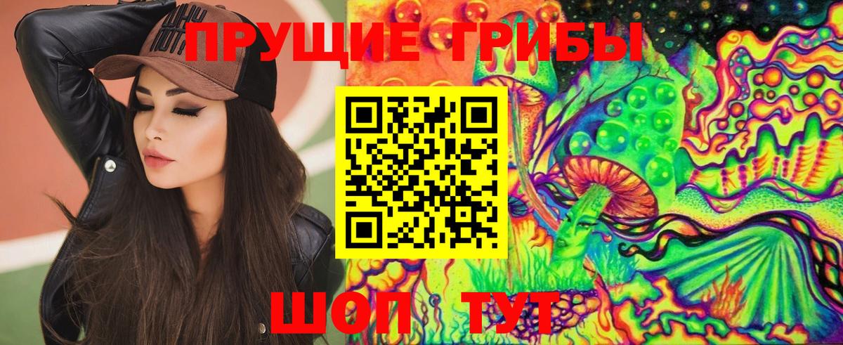 Псилоцибиновые грибы мицелий  Псилоцибиновые грибы прущие грибы  Вход с VPN  Славгород 